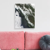 ブリティッシュコロンビア キャンバスプリント (インサイチュ (リビング))