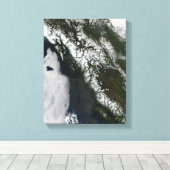 ブリティッシュコロンビア キャンバスプリント (インサイチュ (ウッドフロア))