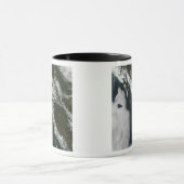 ブリティッシュコロンビア マグカップ (中央)