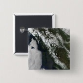 ブリティッシュコロンビア 缶バッジ (正面&裏面)