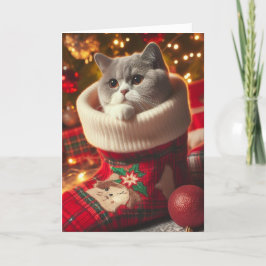 ブリティッシュショートヘアの猫が入ったクリスマスストッキングのカード シーズンカード