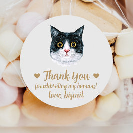 ブリティッシュショートヘアの猫の結婚式の引出物ステッカー ラウンドシール