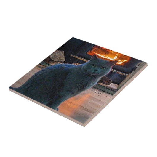 ブリティッシュショートヘア子猫暖炉 タイル (側面)