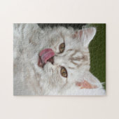ブリティッシュロングヘアキッテン – チョコレート、シルバー虎猫 ジグソーパズル (横)