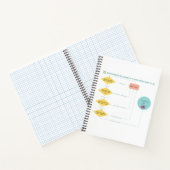 ブリティッシュ適格性フローチャート(BEF v.1.0) ノートブック (内部)