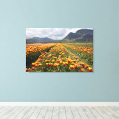 ブリティッシュ・コロンビア州アガシーの近くのチューリップ・ファーム。 キャンバスプリント (インサイチュ (ウッドフロア))