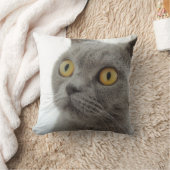 ブリティッシュ・ショートヘアのキャットスロークッション クッション (ブランケット)