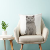 ブリティッシュ・ショートヘアの子猫(10週前) 2 クッション (椅子)