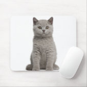 ブリティッシュ・ショートヘアの子猫（10週前） 2 マウスパッド (マウス)