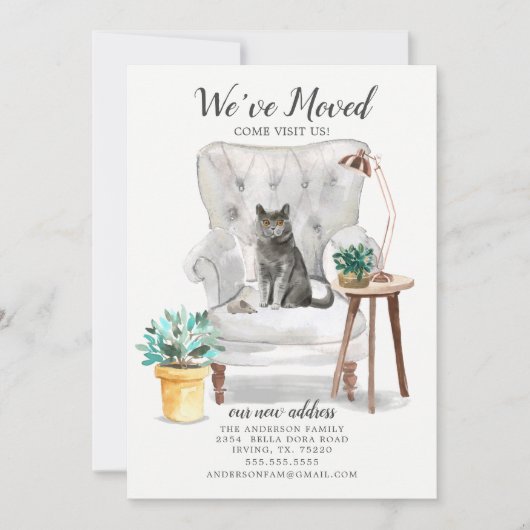 ブリティッシュ・ショートヘアの猫の動きのお知らせ 案内状 (正面)