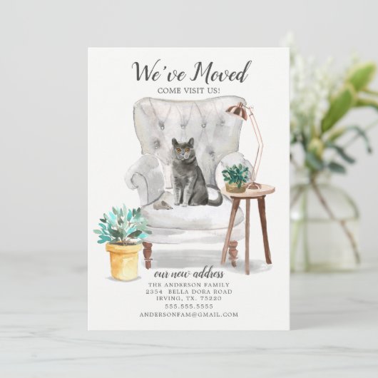 ブリティッシュ・ショートヘアの猫の動きのお知らせ 案内状 (スタンド正面)