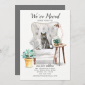 ブリティッシュ・ショートヘアの猫の動きのお知らせ 案内状 (正面/裏面)