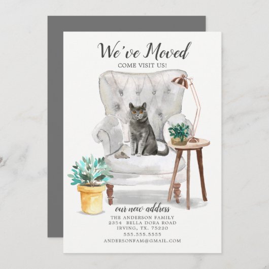 ブリティッシュ・ショートヘアの猫の動きのお知らせ 案内状 (正面/裏面)