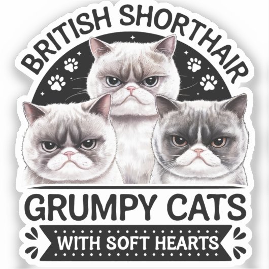 ブリティッシュ・ショートヘアの猫 シール (正面)