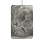 ブリティッシュ・ショートヘア カーエアーフレッシュナー (裏面)