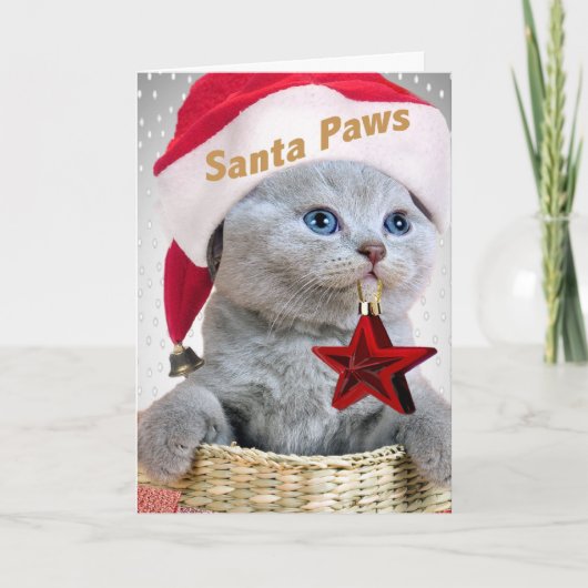 ブリティッシュ・ショートヘア・キッテンサンタポーズ シーズンカード (正面)