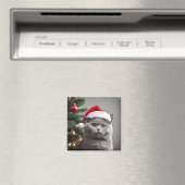 ブリティッシュ・ショートヘア・クリスマス マグネット (インサイチュ (食洗機))