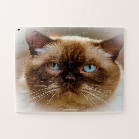 ブリティッシュ・ショートヘア ジグソーパズル (横)