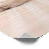 ブリティッシュ・ショートヘア ポスター (角)