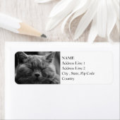 ブリティッシュ・ショートヘア |白黒 |猫のポートレート ラベル (インサイチュ)