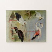 ブリティッシュ・バード・アート・イラスト ジグソーパズル (横)