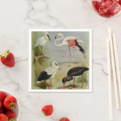 ブリティッシュ・バード・アート・イラスト スタンダードカクテルナプキン (インサイチュ)