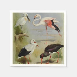 ブリティッシュ・バード・アート・イラスト スタンダードカクテルナプキン