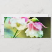 ブリディングハートby Shirley Taylor (裏面)