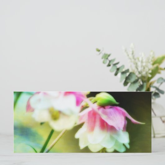 ブリディングハートby Shirley Taylor (スタンド正面)