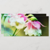 ブリディングハートby Shirley Taylor (正面/裏面)