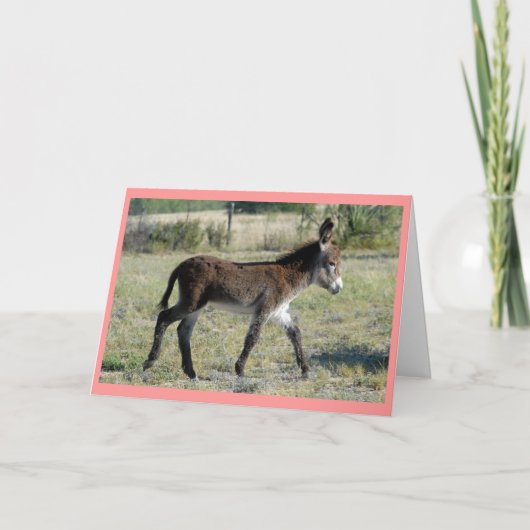 "ブリトーベビーカード" 案内状 (正面)