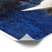 ブリノ・リジェフォス・リードの白鳥 ポスター (角)