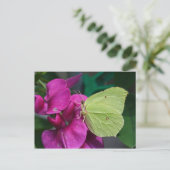 ブリムストン ポストカード (スタンド正面)