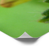 ブリムストーンモスプリント ポスター (角)