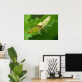 ブリムストーンモスプリント ポスター (ホームオフィス)