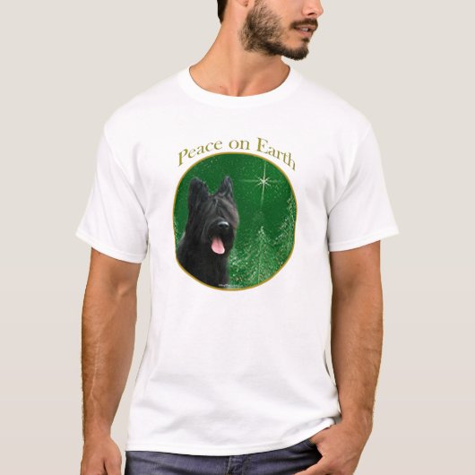 ブリヤード平和 Tシャツ (正面)