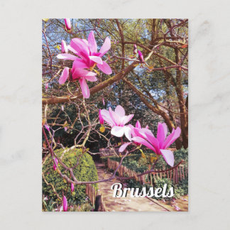 ブリュッセルのベルギー旅行写真 ポストカード
