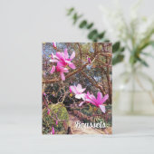 ブリュッセルのベルギー旅行写真 ポストカード (スタンド正面)