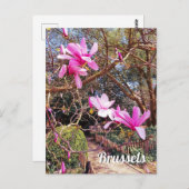 ブリュッセルのベルギー旅行写真 ポストカード (正面/裏面)