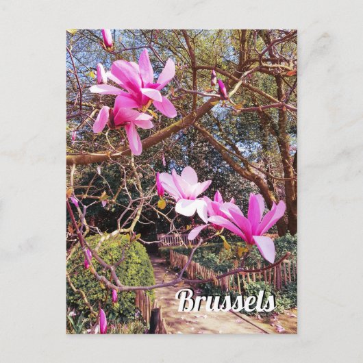 ブリュッセルのベルギー旅行写真 ポストカード (正面)