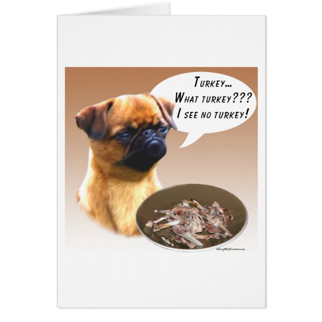 ブリュッセルグリフォントルコ (正面)