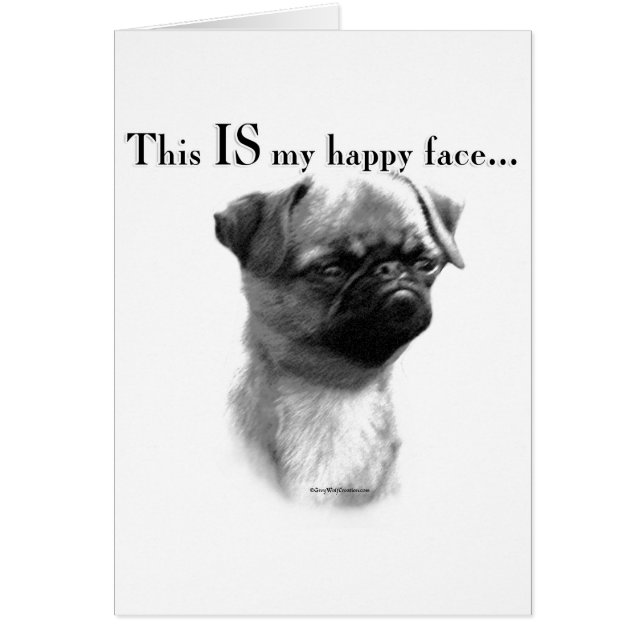 ブリュッセルグリフォンハピー顔 (正面)