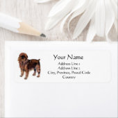 ブリュッセルグリフォン住所 シール (インサイチュ)