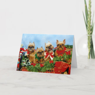 ブリュッセルグリフォン犬クリスマスカード シーズンカード