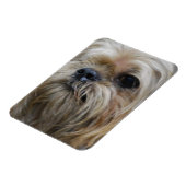 ブリュッセルグリフォン磁石 マグネット (左側)