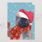 ブリュッセル・グリフォン シーズンカード (正面/裏面)