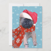 ブリュッセル・グリフォン シーズンカード (裏面)