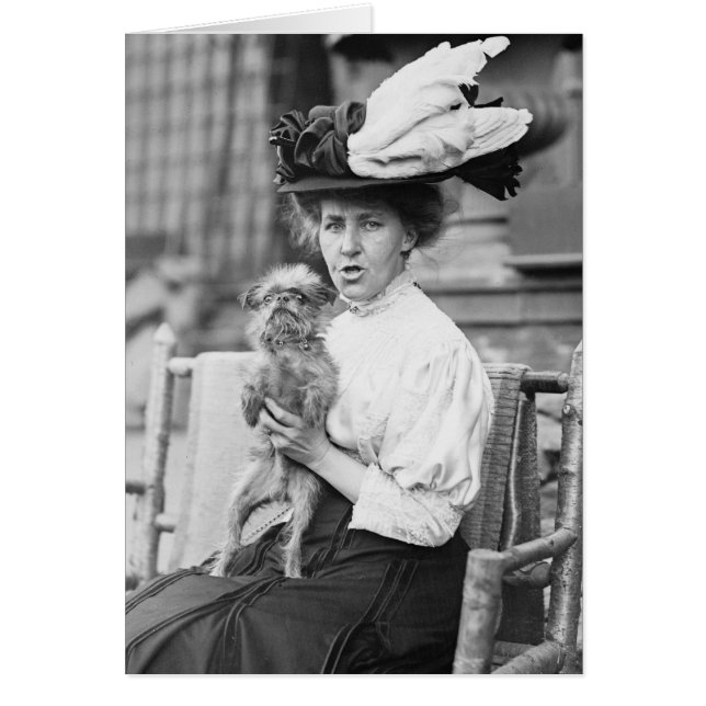 ブリュッセル・グリフォン、1900年代初期 (正面)