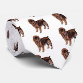 ブリュッセルGriffon ネクタイ (ロール)