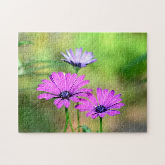 ブリュテンザウバー ジグソーパズル (横)